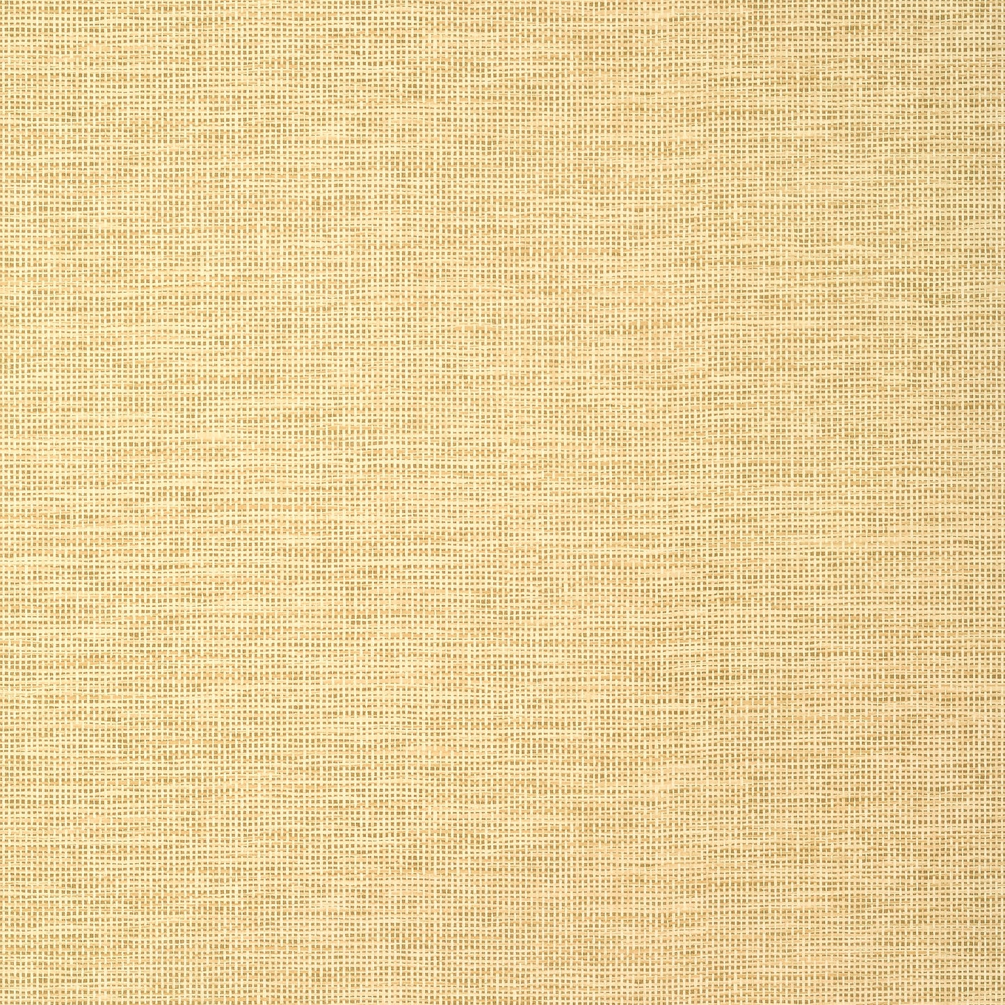 Shop Thibaut Wallpaper Pattern Tww14564 Pattern Name Spiro From The Collection Texture Resource 8.