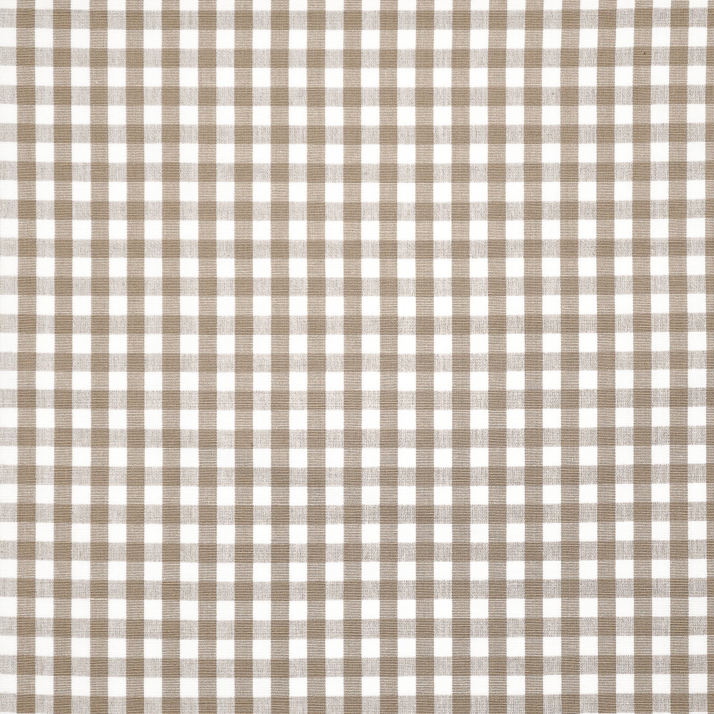 Purchase Maxwell Fabric - Vichy Check, # 219 Khaki