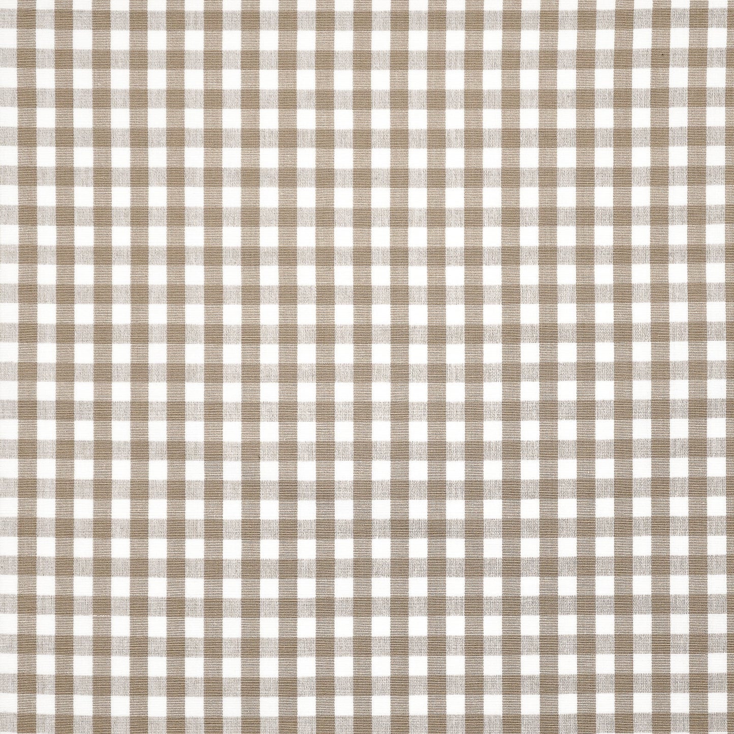 Purchase Maxwell Fabric - Vichy Check, # 219 Khaki