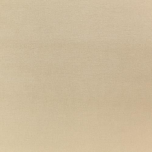 Sample VERSAILLES.E24424.0 Beige Upholstery Solids Plain Cloth Fabric by Kravet Design