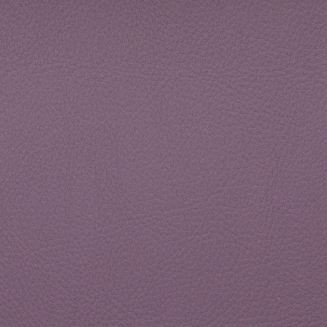 Purchase Mag Fabric Product# 11070 Voyager Allium Fabric