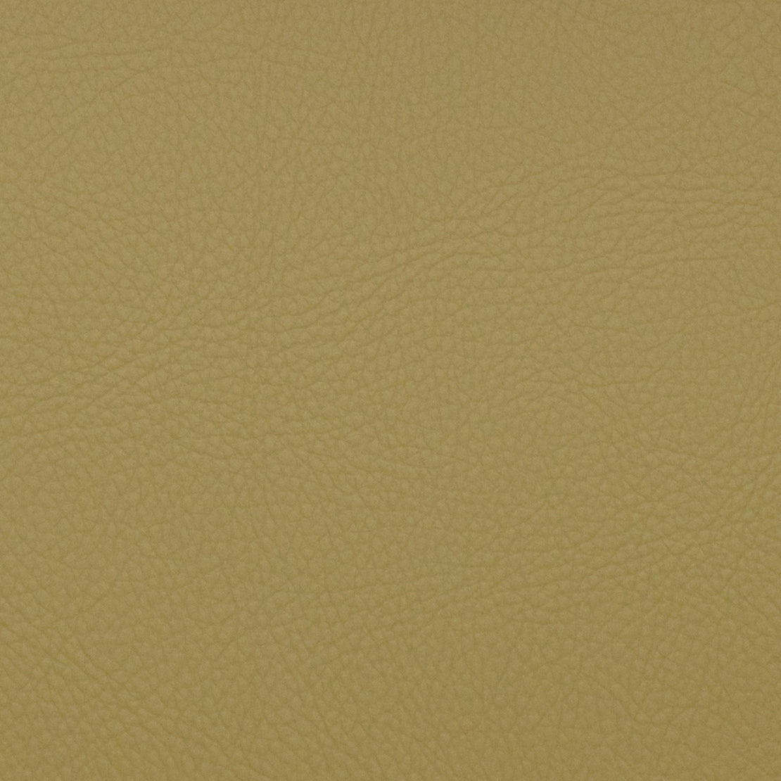 Purchase Mag Fabric Pattern number 11071 Voyager Aloe Fabric