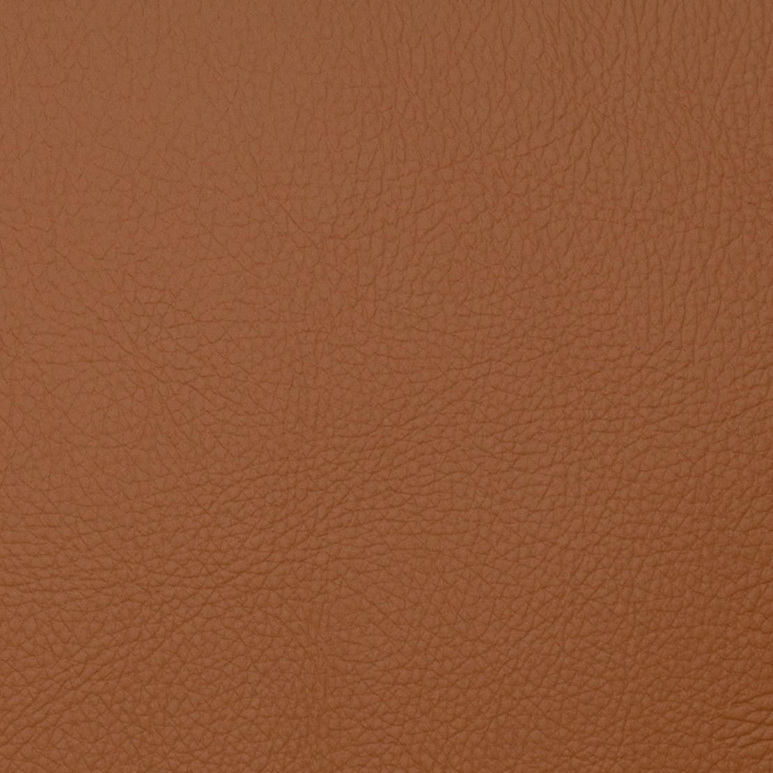 Purchase Mag Fabric Product 11095 Voyager Maple Fabric