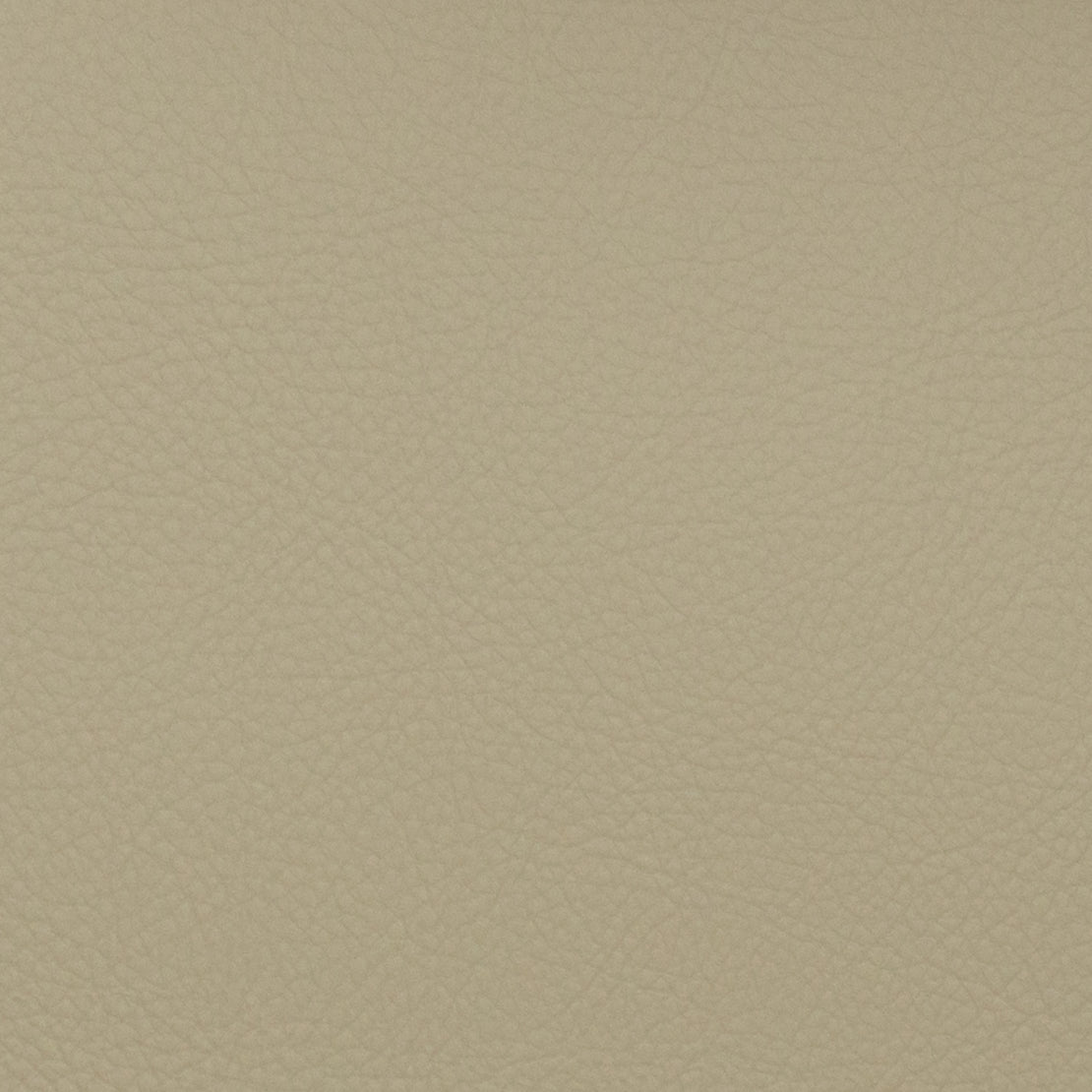 Purchase Mag Fabric Product# 11097 Voyager Mushroom Fabric