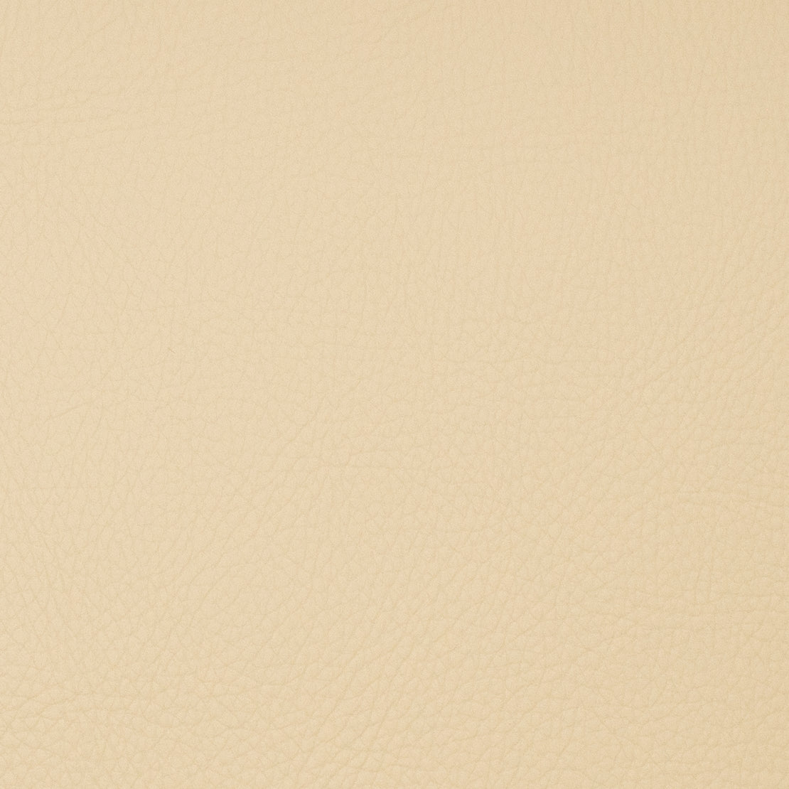 Purchase Mag Fabric Pattern# 11100 Voyager Parsnip Fabric