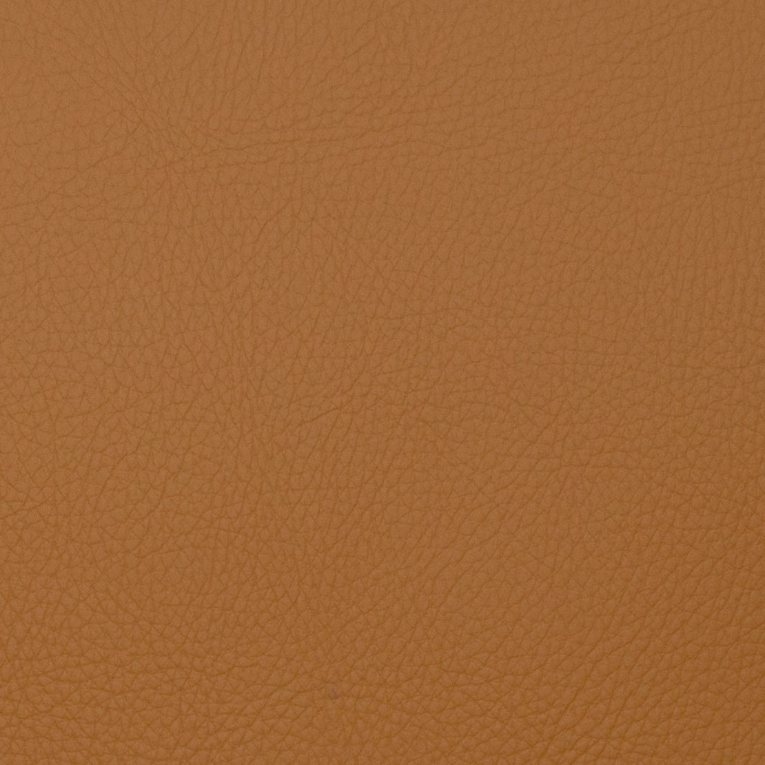 Purchase Mag Fabric Pattern# 11109 Voyager Toast Fabric