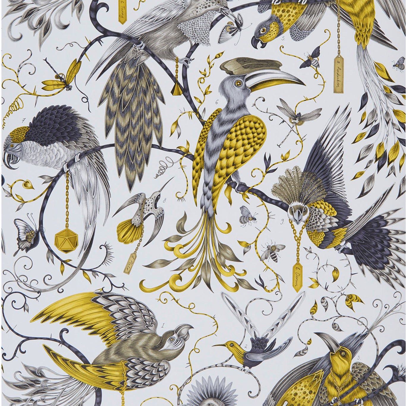 Sample W0099/02 Audubon Yellow Animals Clarke And Clarke Wallpaper