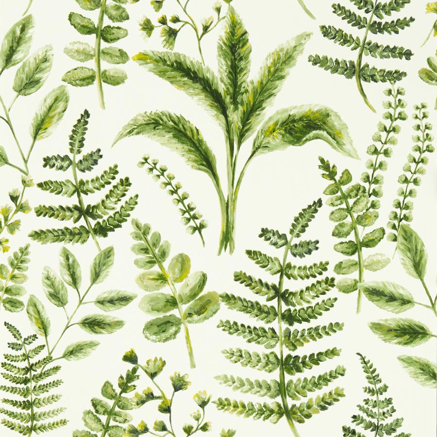 Purchase W0156/02 Bracken, Green Botanical - Clarke And Clarke Wallpaper