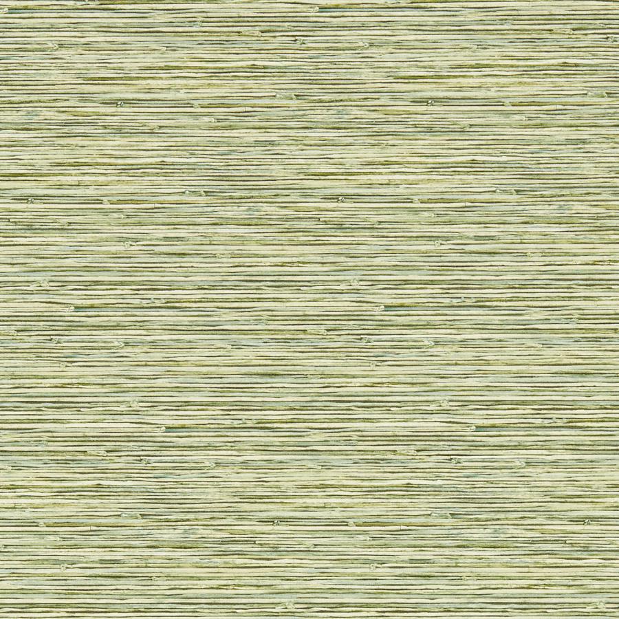 Purchase W0192/04 Xan, Green Organic Textures - Clarke And Clarke Wallpaper
