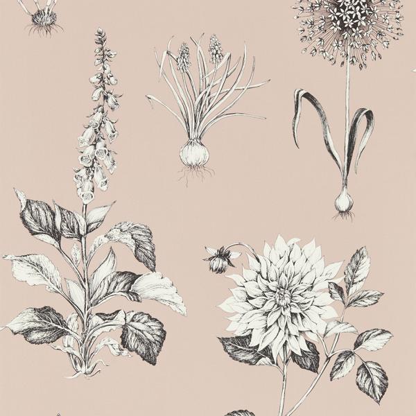 Purchase W0197/01 Roseraie, Pink Botanical - Clarke And Clarke Wallpaper