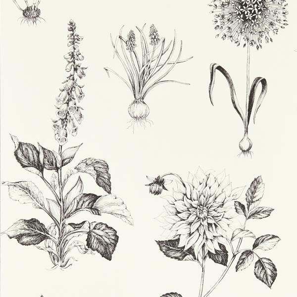Purchase W0197/02 Roseraie, Black Botanical - Clarke And Clarke Wallpaper