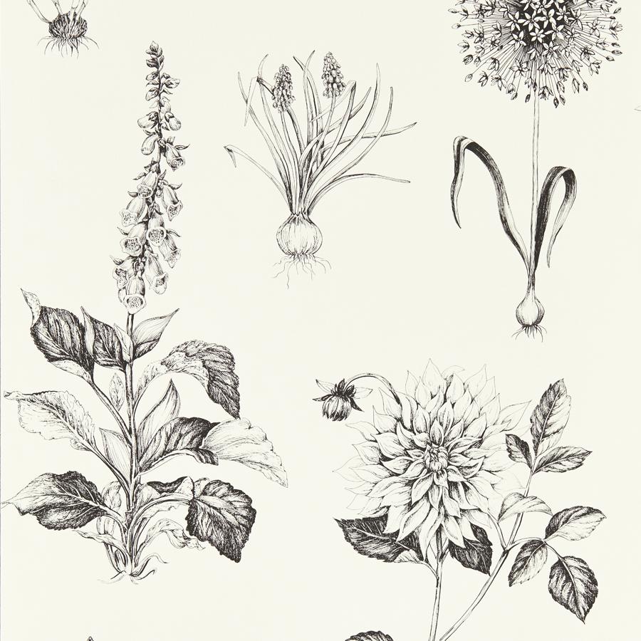 Purchase W0197/02 Roseraie, Neutral Botanical - Clarke And Clarke Wallpaper