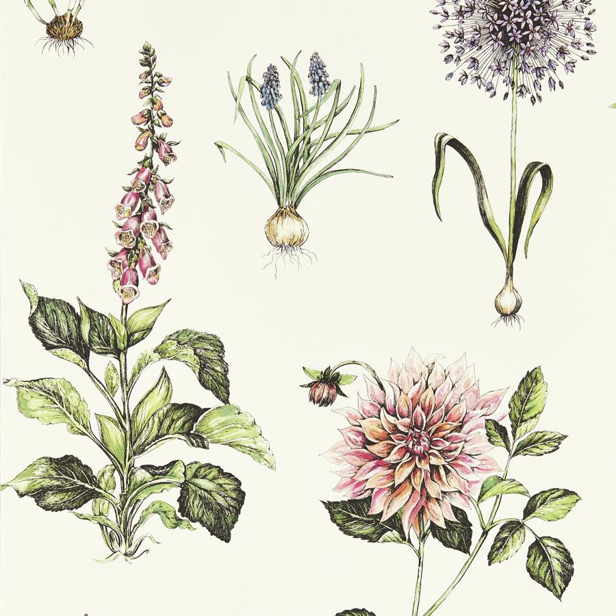 Purchase W0197/05 Roseraie, Multi Color Botanical - Clarke And Clarke Wallpaper
