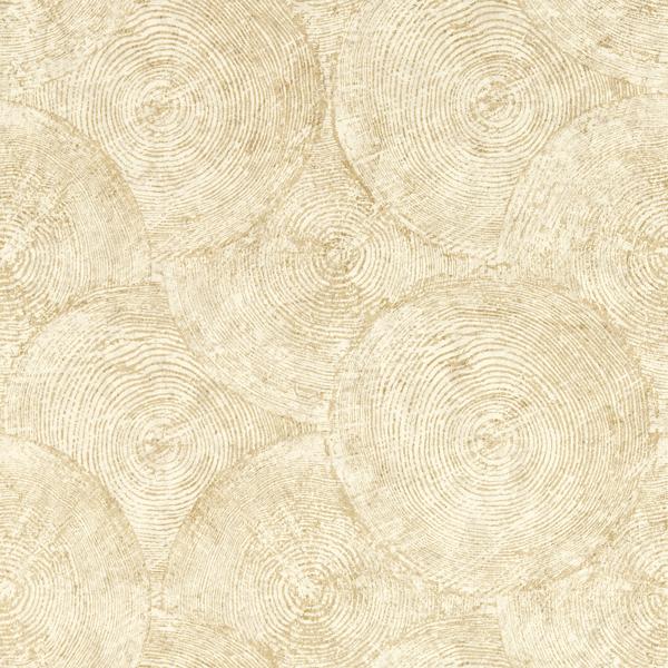Sample - W0209/05 | Silvan, Gold Distressed Textures - Clarke And Clarke Wallpaper