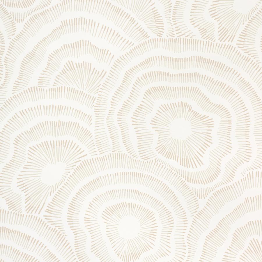 Purchase W3823-16 Panache Wp, Beige Abstract - Kravet Couture Wallpaper - W3823.16.0