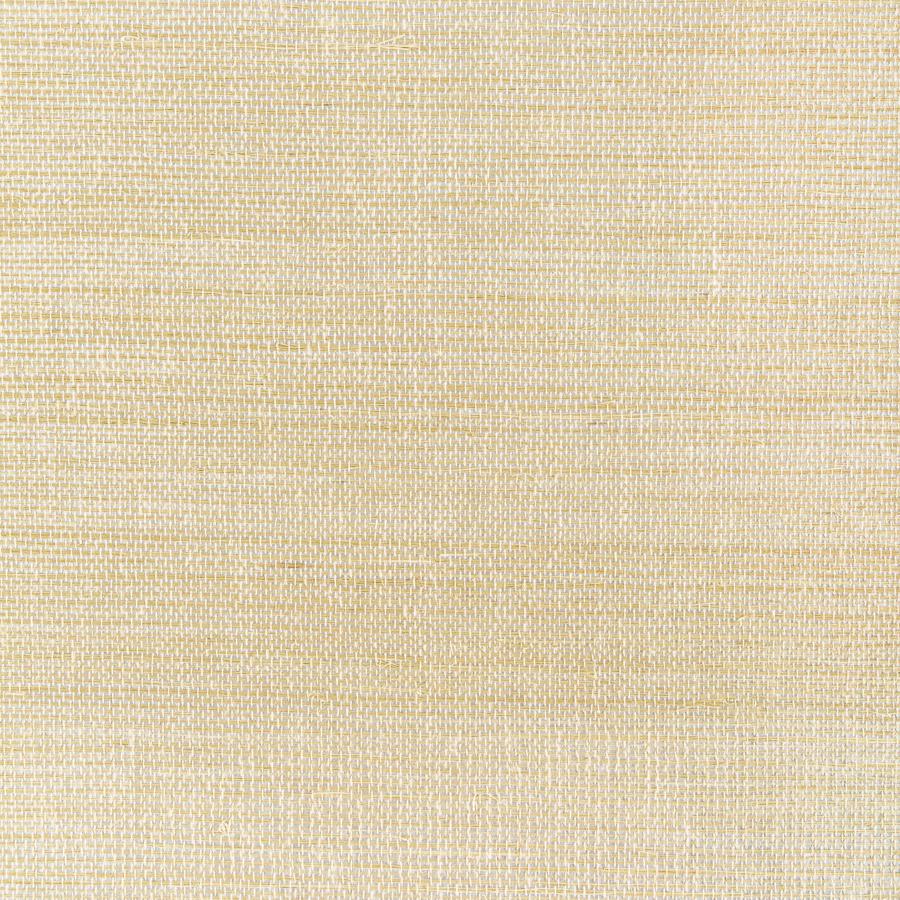 Sample - W3830.4.0 Luxe Sisal, Gold by Kravet Couture Wallpaper