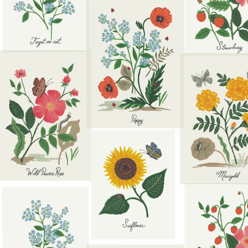 Sample - W3947.73.0 | Kravet Design, Multi Color Botanical - Kravet Design Wallpaper