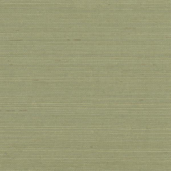 Sample - W4003-303 | Kravet Design, Green Textured - Kravet Wallpaper - W4003.303.0