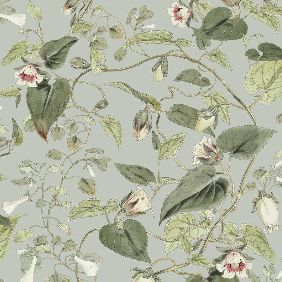 Sample - W4132-311 | Kravet Design, Green Botanical - Kravet Design Wallpaper - W4132.311.0