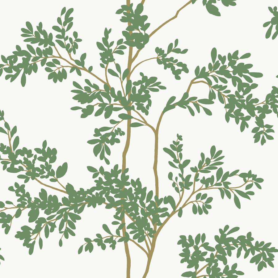 Purchase W4141-3 Kravet Design, Green Botanical - Kravet Design Wallpaper - W4141.3.0