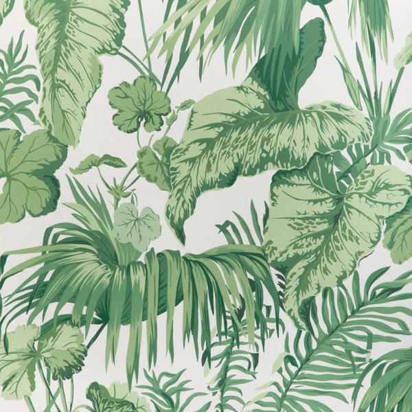 Sample - W4145-31 | Yasuni Wp, Green Leaves - Kravet Wallpaper - W4145.31.0
