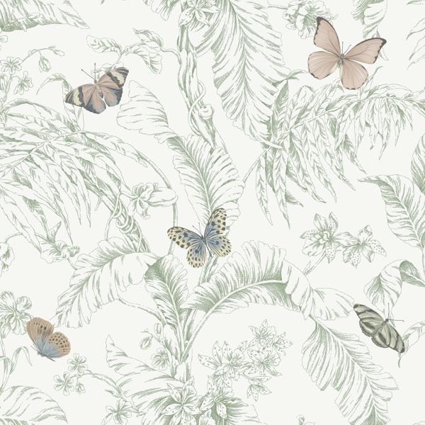 Sample - W4234-73 | Kravet Design, Green Toile - Kravet Design Wallpaper - W4234.73.0
