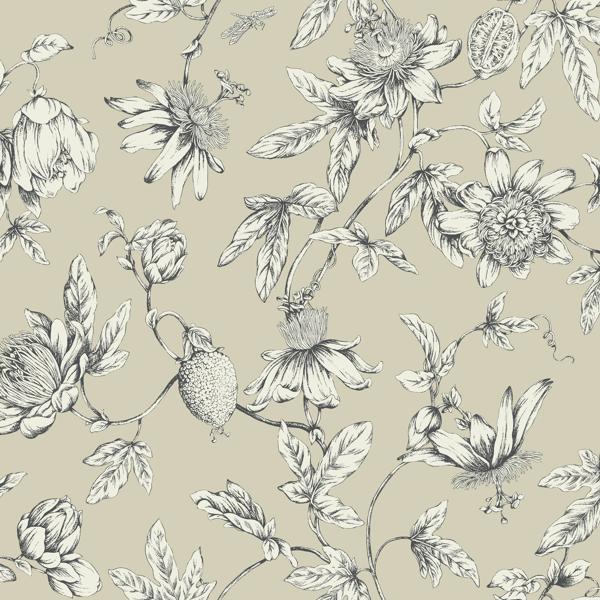 Sample - W4240-16 | Kravet Design, Beige Toile - Kravet Design Wallpaper - W4240.16.0