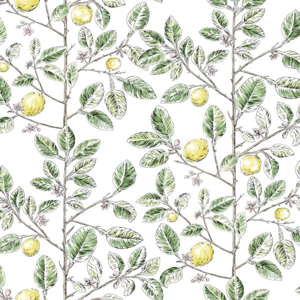 Sample - W4241-340 | Kravet Design, Green Botanical - Kravet Design Wallpaper - W4241.340.0