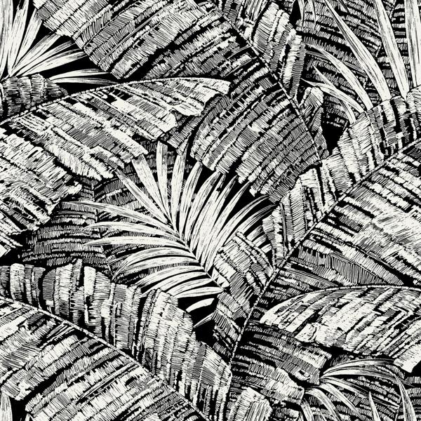 Purchase W4249-81 Kravet Design, Black Tropical - Kravet Design Wallpaper - W4249.81.0