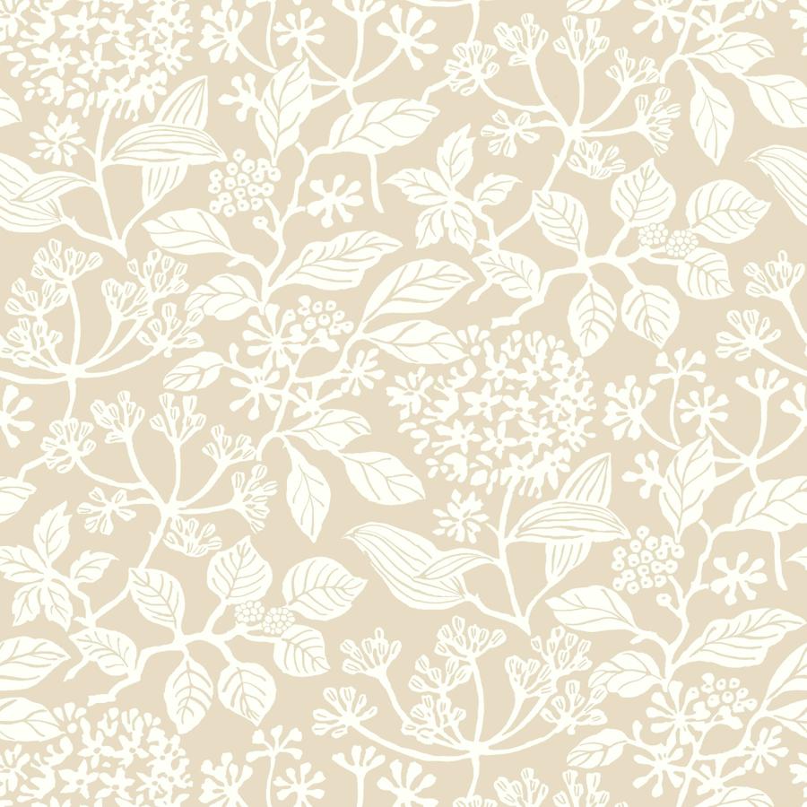 Purchase W4485-16 Kravet Design, Beige Botanical - Kravet Design Wallpaper - W4485.16.0