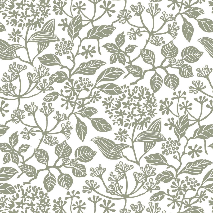 Purchase W4485-21 Kravet Design, Green Botanical - Kravet Design Wallpaper - W4485.21.0