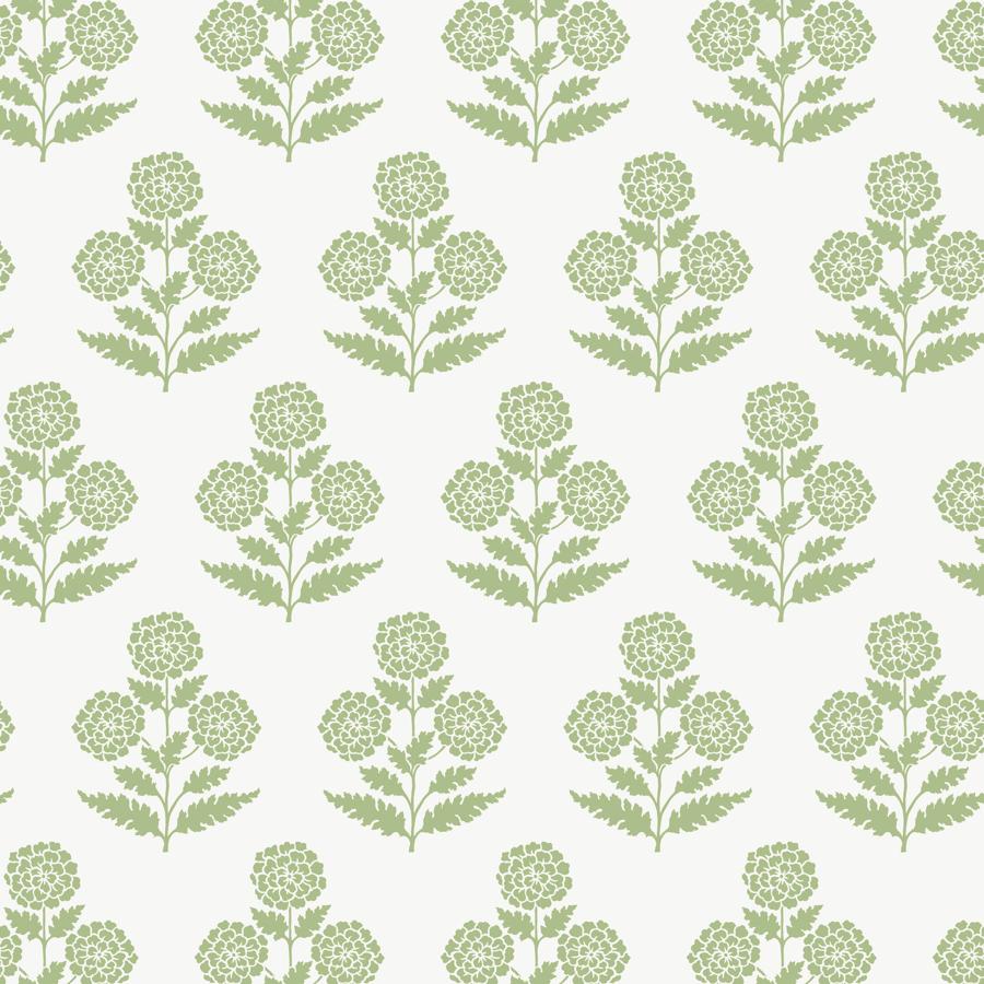 Purchase W4494-3 Kravet Design, Green Botanical - Kravet Design Wallpaper - W4494.3.0