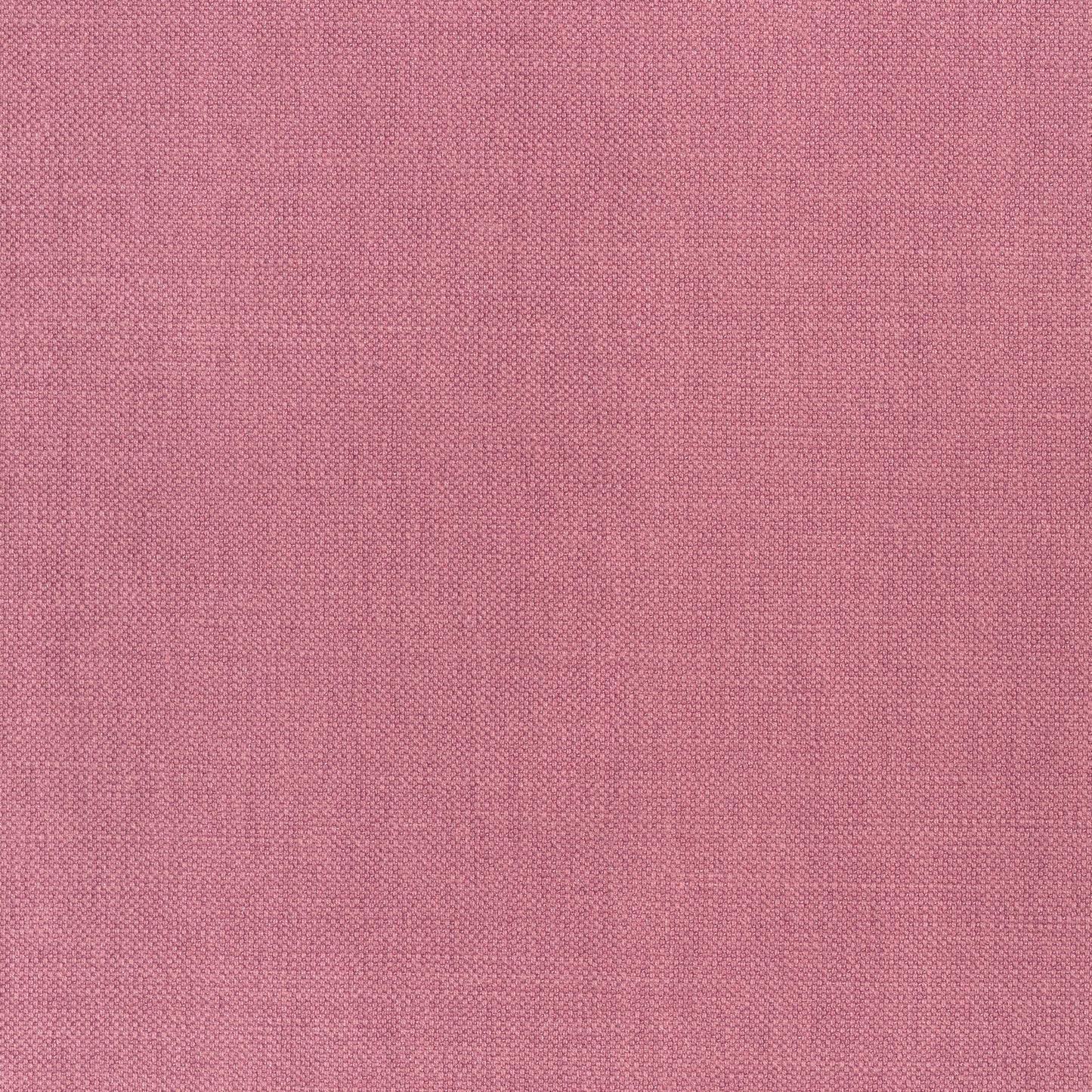 Purchase Thibaut Fabric Pattern W70132 pattern name Prisma color Peony