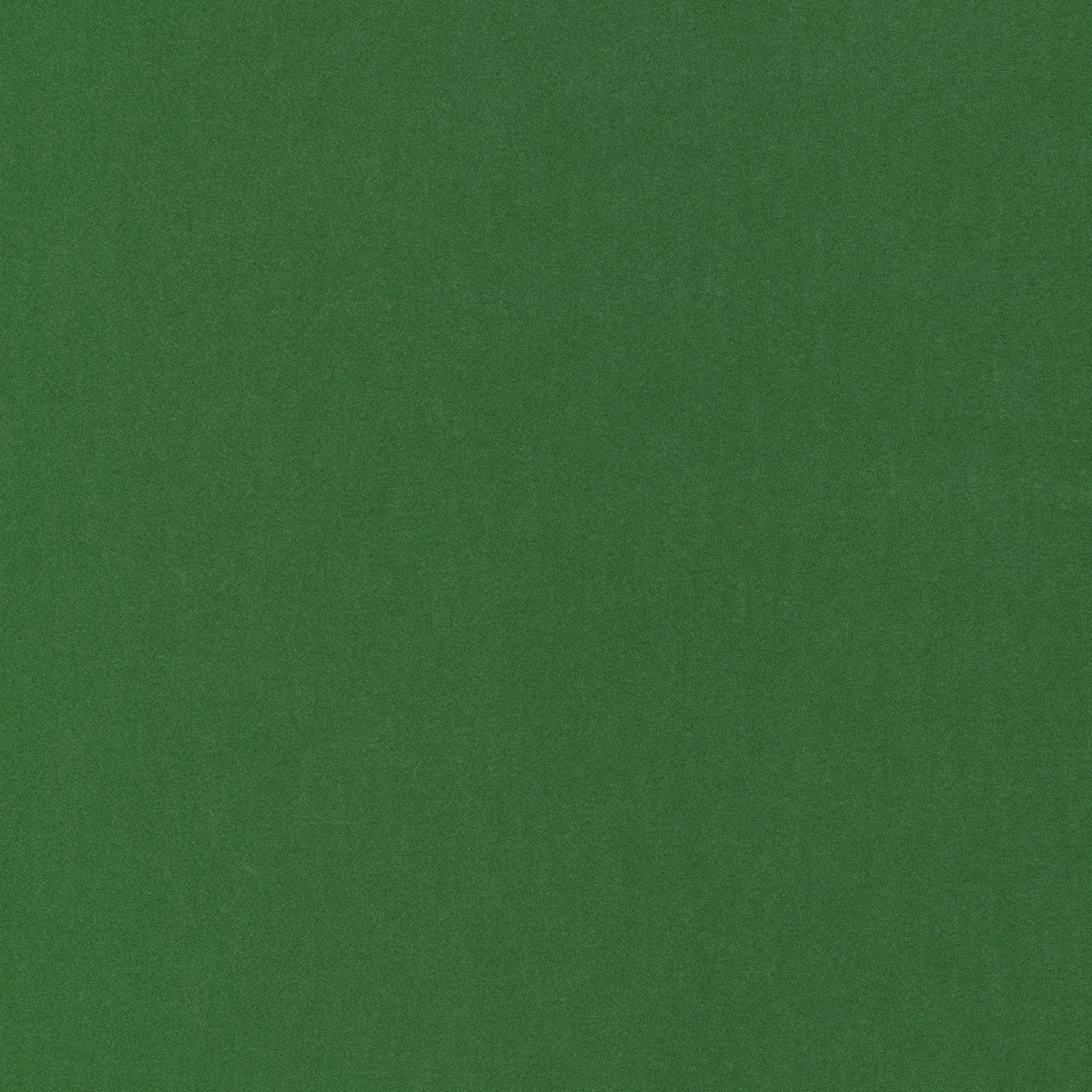 Purchase Thibaut Fabric Product# W72821 pattern name Miles Mohair Velvet color Green