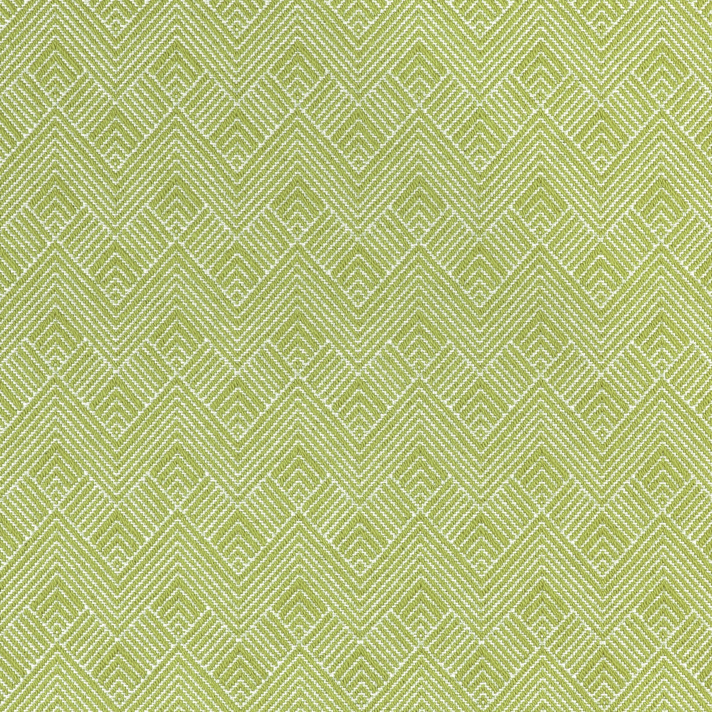 Purchase Thibaut Fabric Product# W73330 pattern name Maddox color Leaf