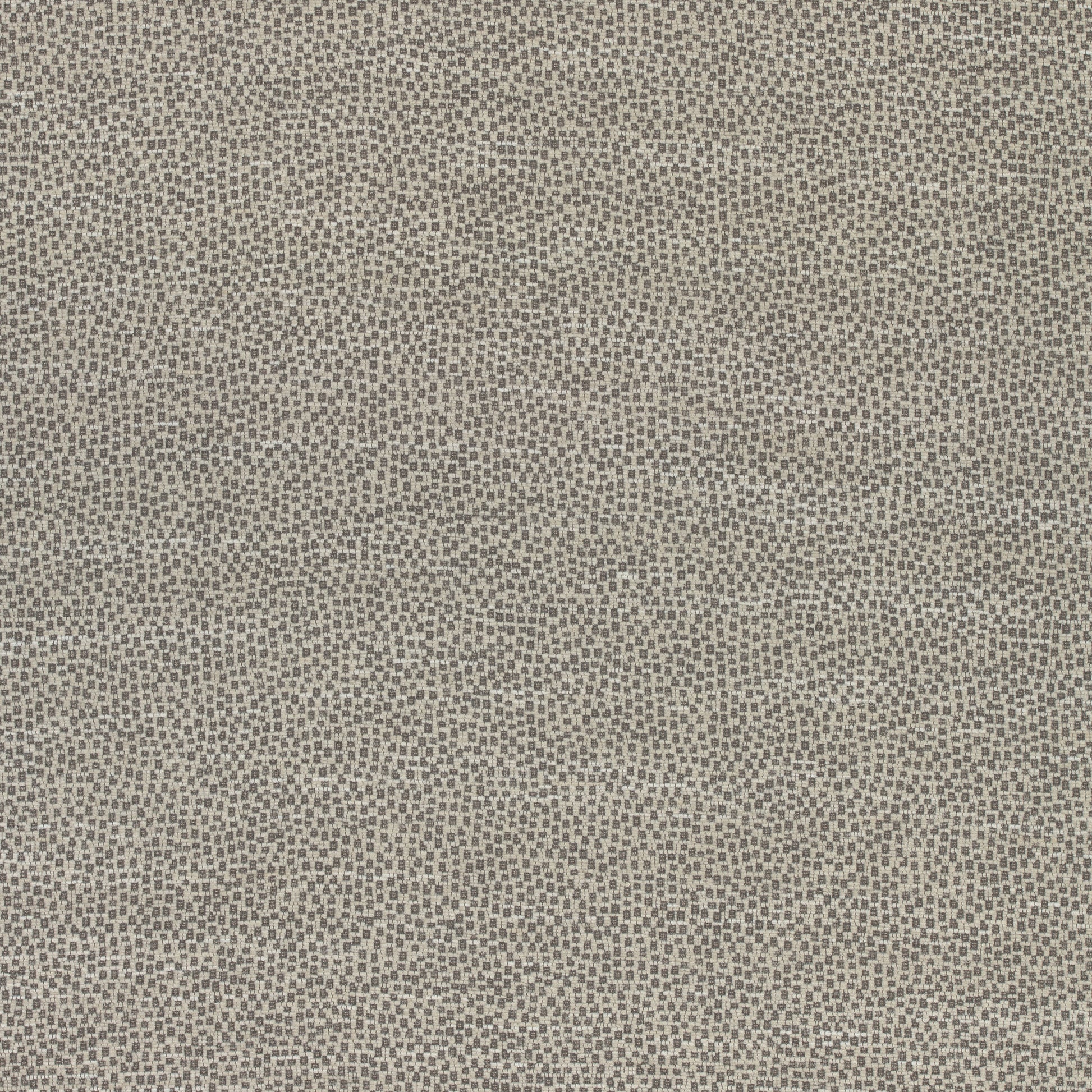 Purchase Thibaut Fabric Item# W74077 pattern name Nala color Grey