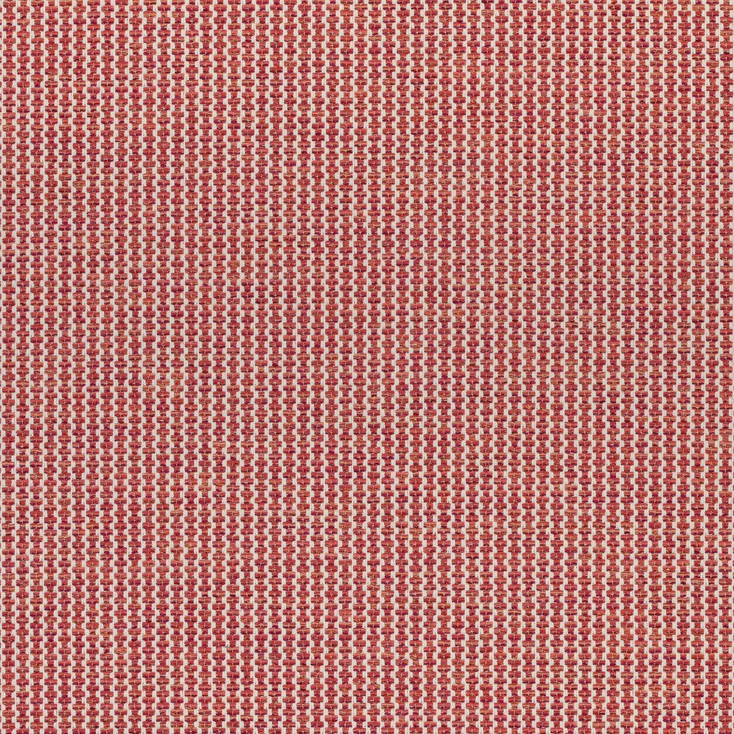 Purchase Thibaut Fabric Product# W74085 pattern name Ryder color Persimmon