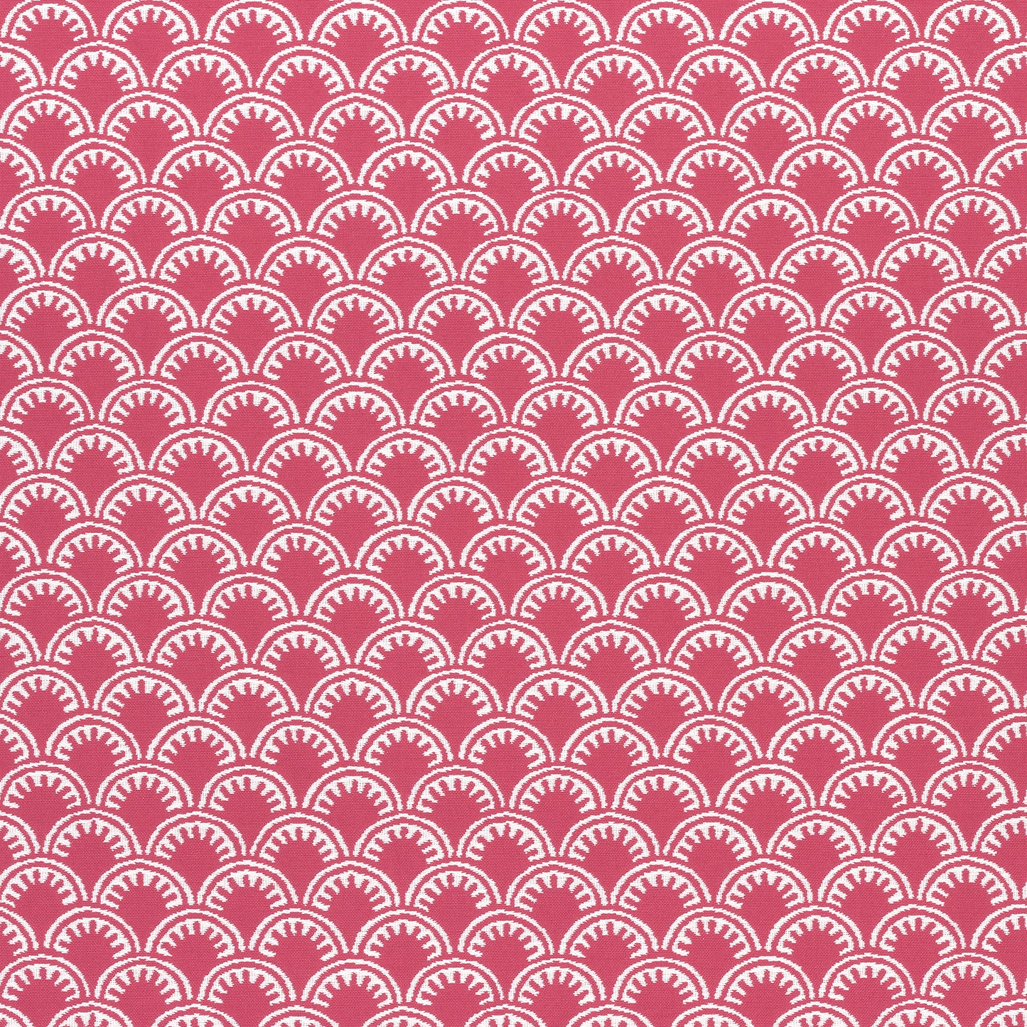 Purchase Thibaut Fabric Product# W74631 pattern name Maisie color Magenta