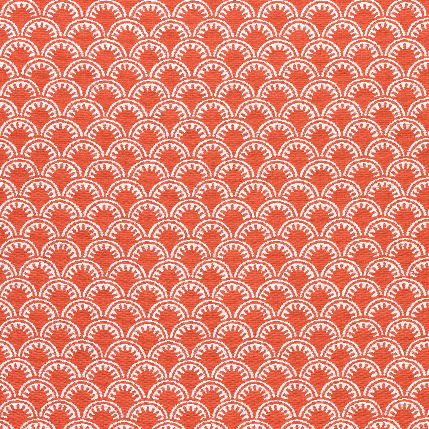 Purchase Thibaut Fabric Item W74632 pattern name Maisie color Coral