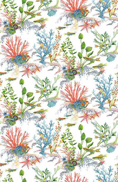 Purchase Item W7682-01 pattern name & colorCoralline Osborne & Little Wallpaper