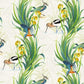Purchase Item# W7815-01 pattern name & colorRhapsody Halcyon Spring Green. Osborne & Little Wallpaper