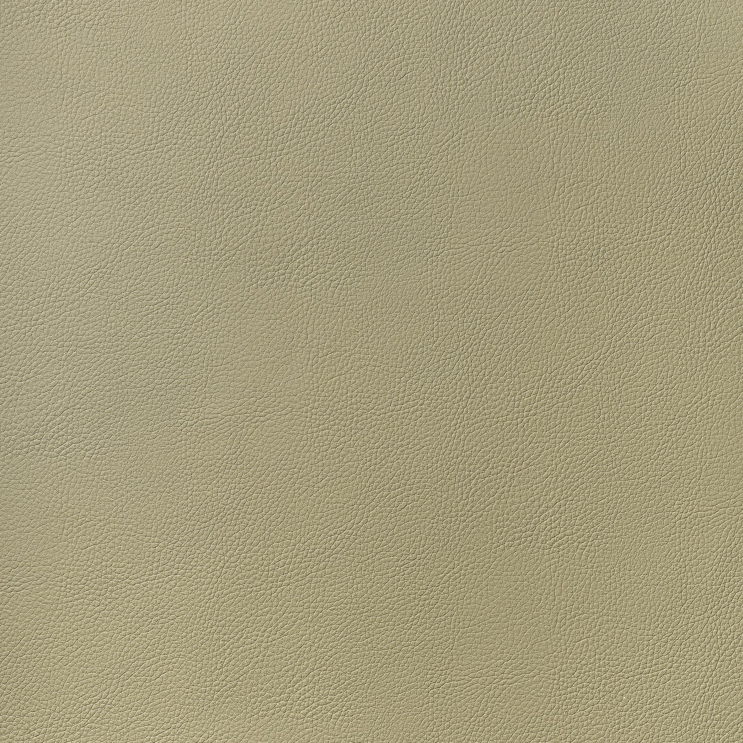 Purchase Thibaut Fabric Item# W78385 pattern name Arcata color Twig