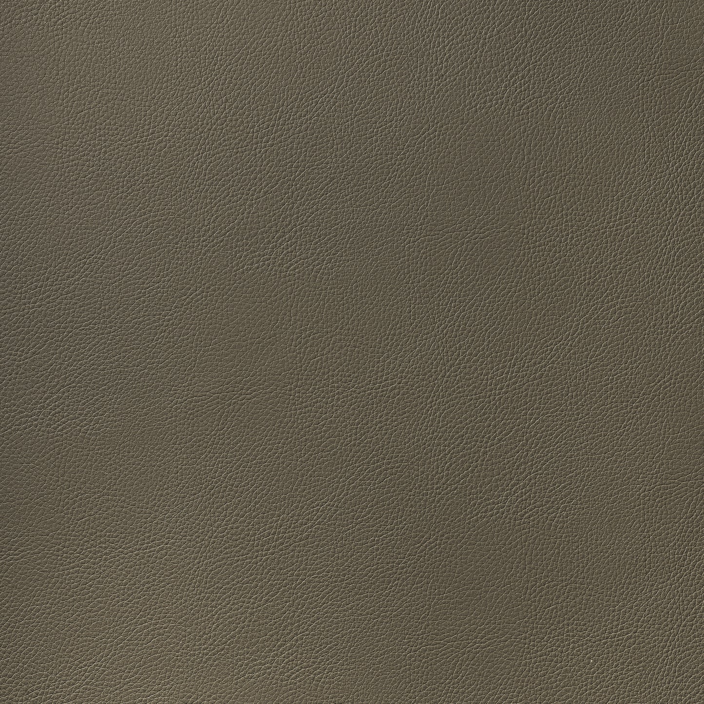 Purchase Thibaut Fabric Product# W78396 pattern name Arcata color Brown