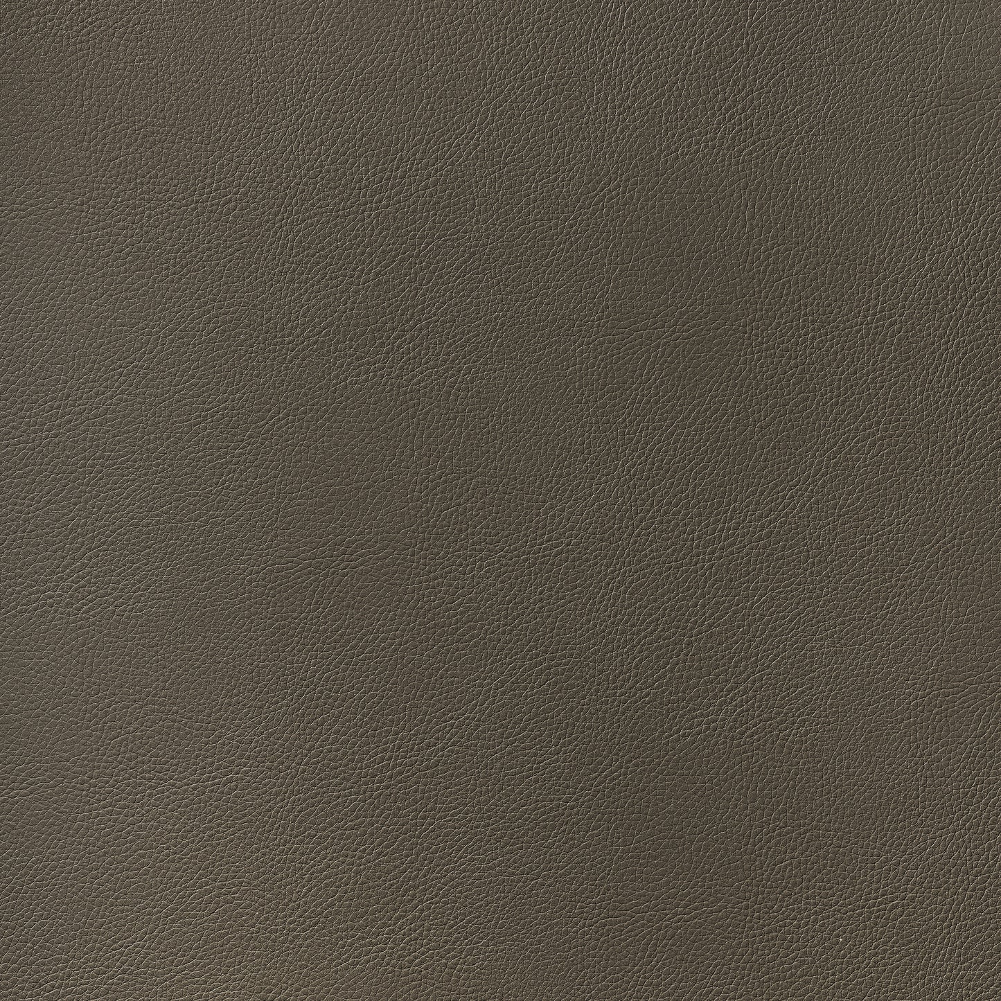 Purchase Thibaut Fabric Pattern number W78397 pattern name Arcata color Bark