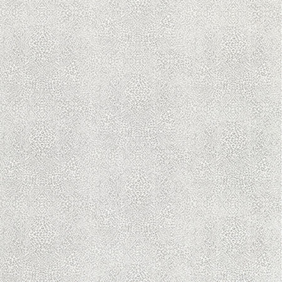 Purchase W7970-04 | Paramo Vinyls Margay Silver - Osborne & Little Wallpaper
