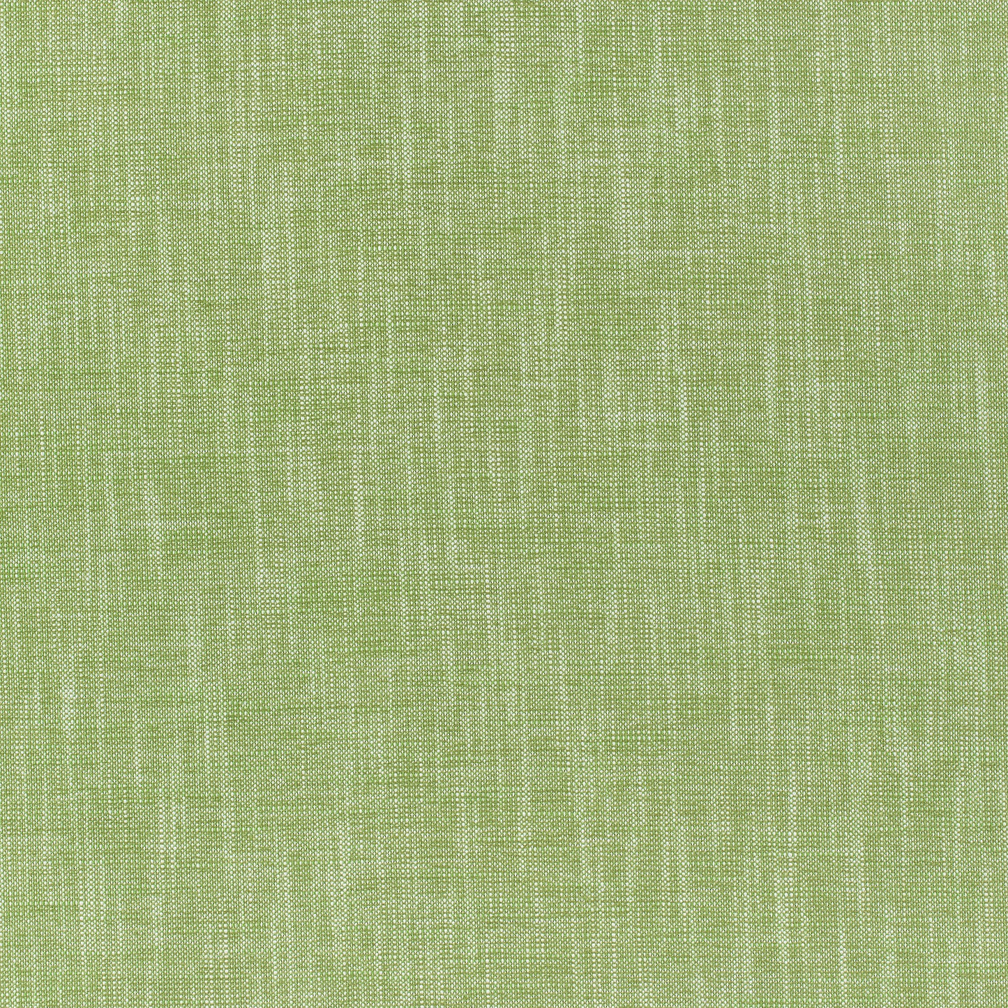 Purchase Thibaut Fabric Pattern number W80499 pattern name Bailey color Grass