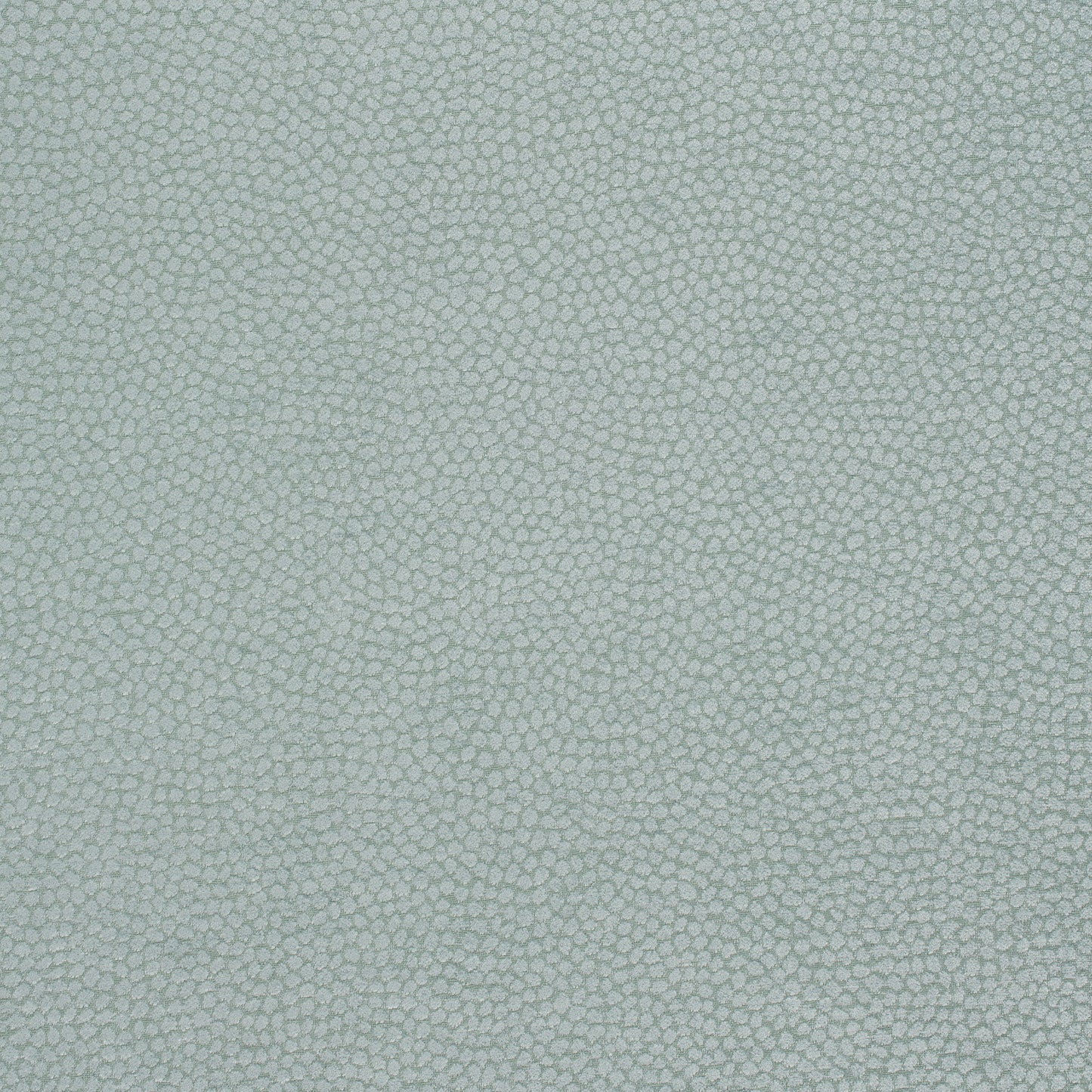 Purchase Thibaut Fabric Item W80517 pattern name Kali color Aqua