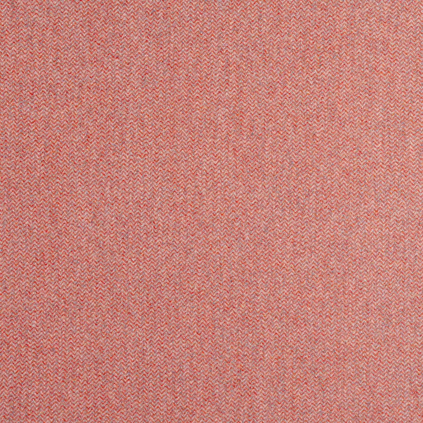 Purchase Thibaut Fabric SKU W80904 pattern name Dorset color Adobe