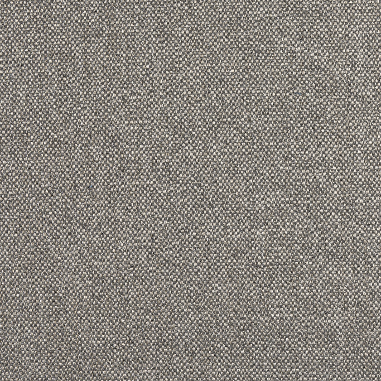 Purchase Thibaut Fabric Product# W8132 pattern name Tinta color Smoke