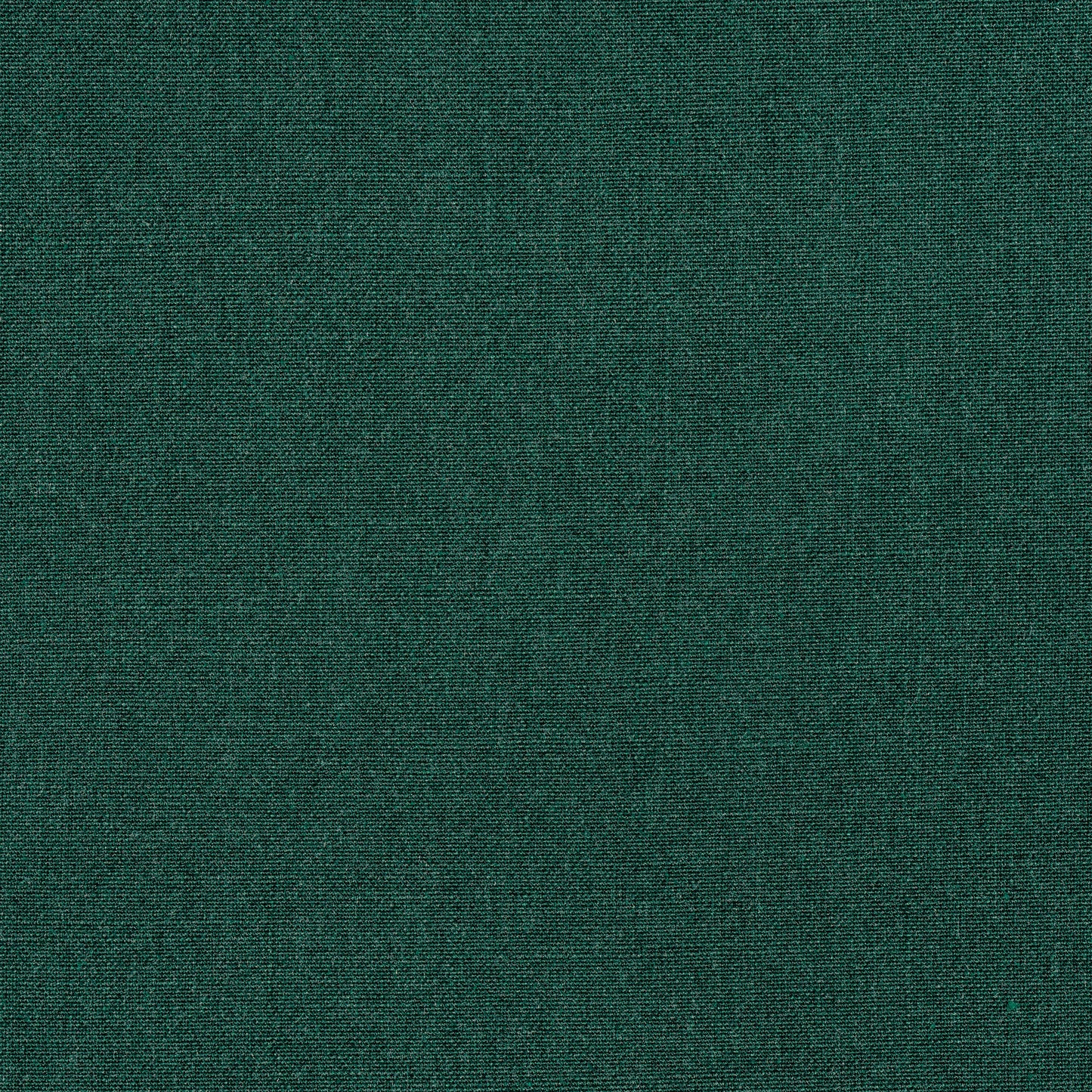 Purchase Thibaut Fabric Pattern# W8583 pattern name Tela color Forest